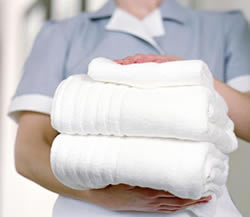 Ironing